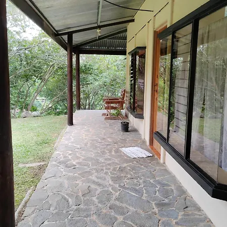 Natural Paradise Turrialba Exterior photo