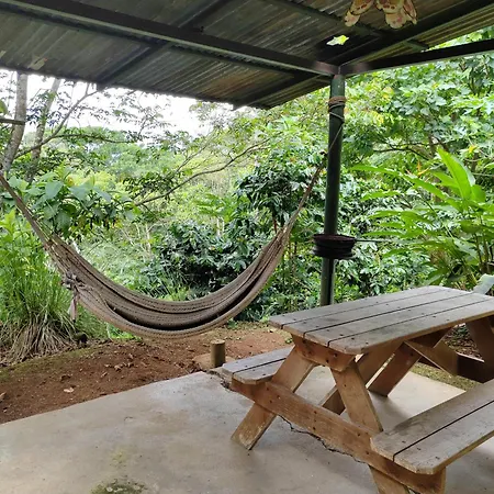 Natural Paradise Turrialba Exterior photo